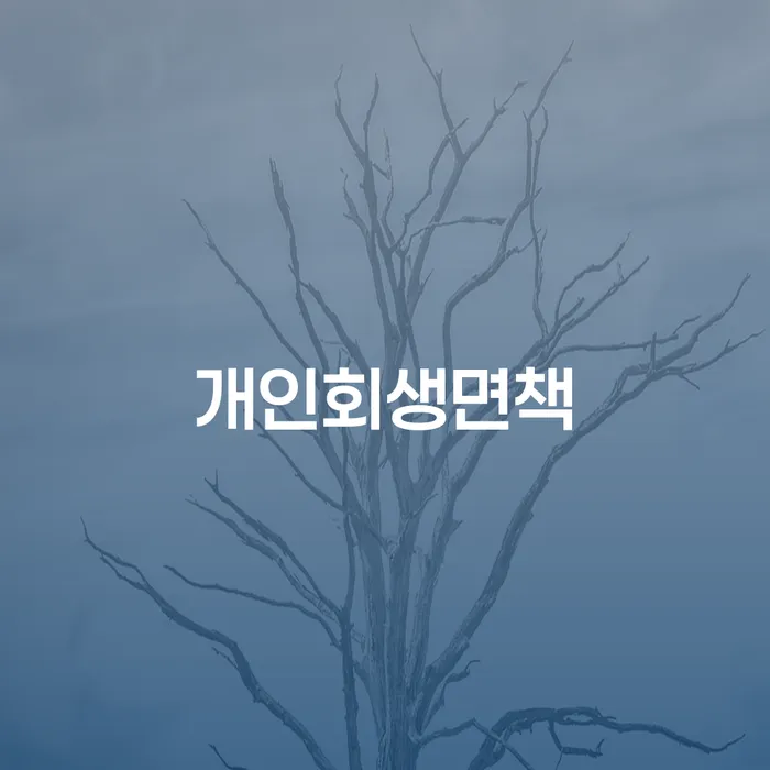 개인회생이의신청서 빚독촉 잘하는 법무법인