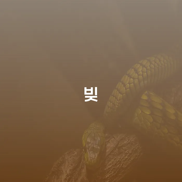 개인회생환불 개인회생 문제해결방법 해결하고 싶다면