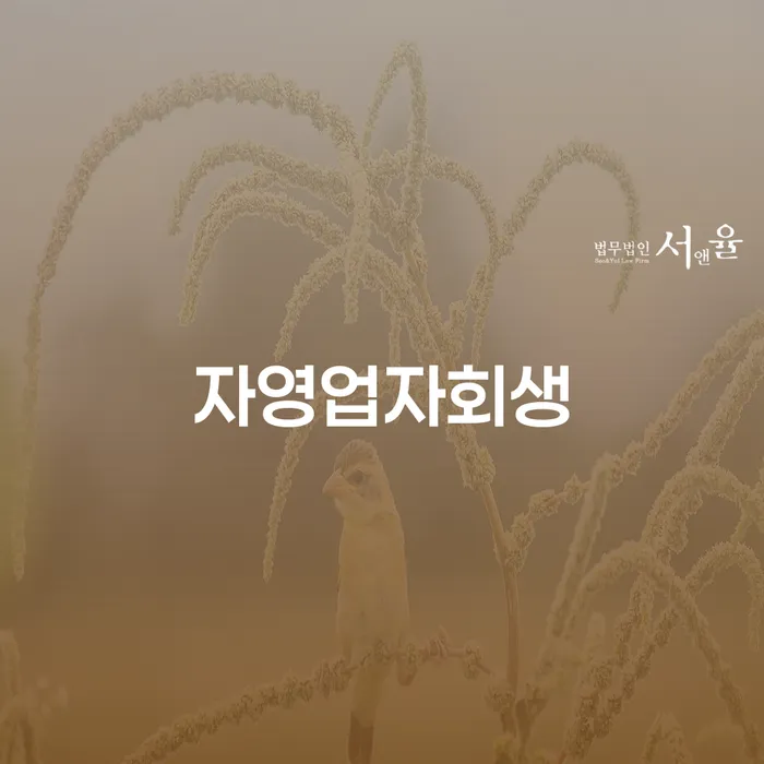 빚 빨리 갚는법 개인회생,개인파산으로 혼자 고민하지 마세요.