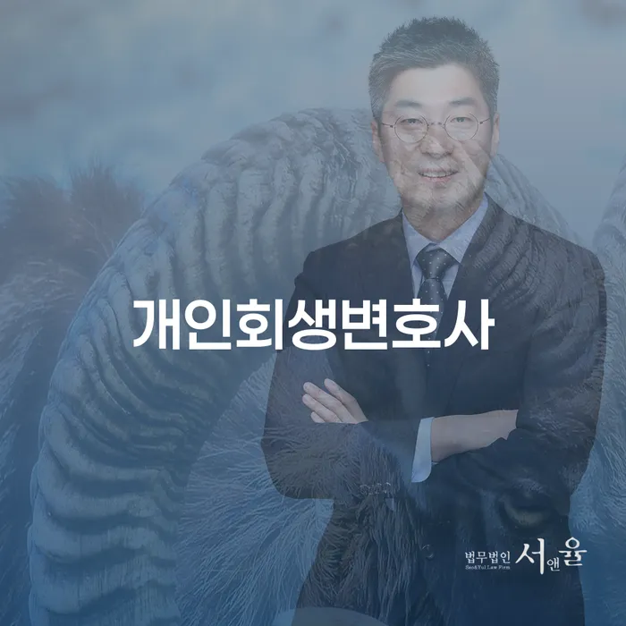 고령군 개인회생 개인회생으로 해결방법 잘하는 사무소