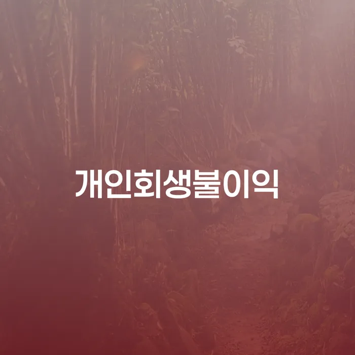 양주시 불법사채 개인회생 문제해결방법 진행할 때 꼭 알아야 할