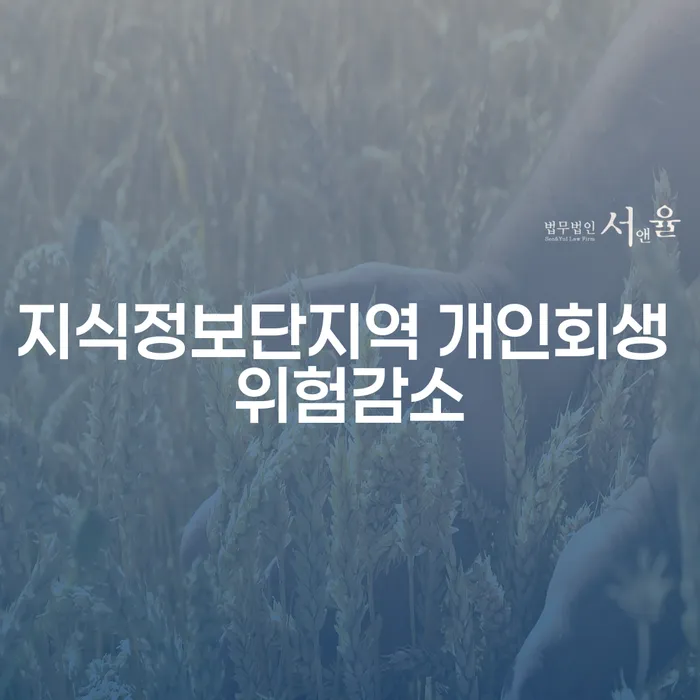 지식정보단지역 개인회생 위험감소