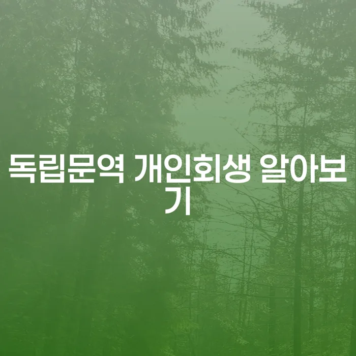 독립문역 개인회생 알아보기