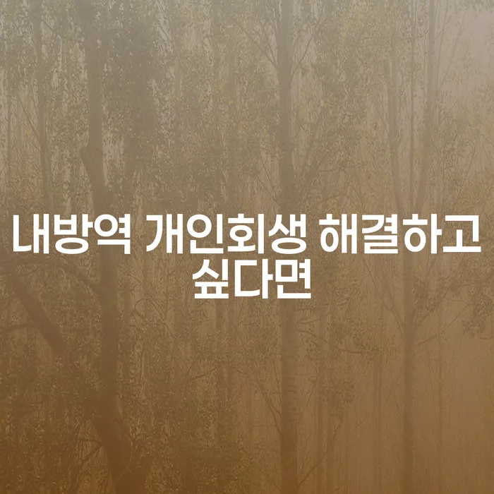 내방역 개인회생 해결하고 싶다면