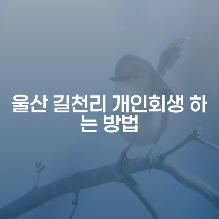 울산 길천리에서 개인회생을 어떻게 시작할 수 있을까요?